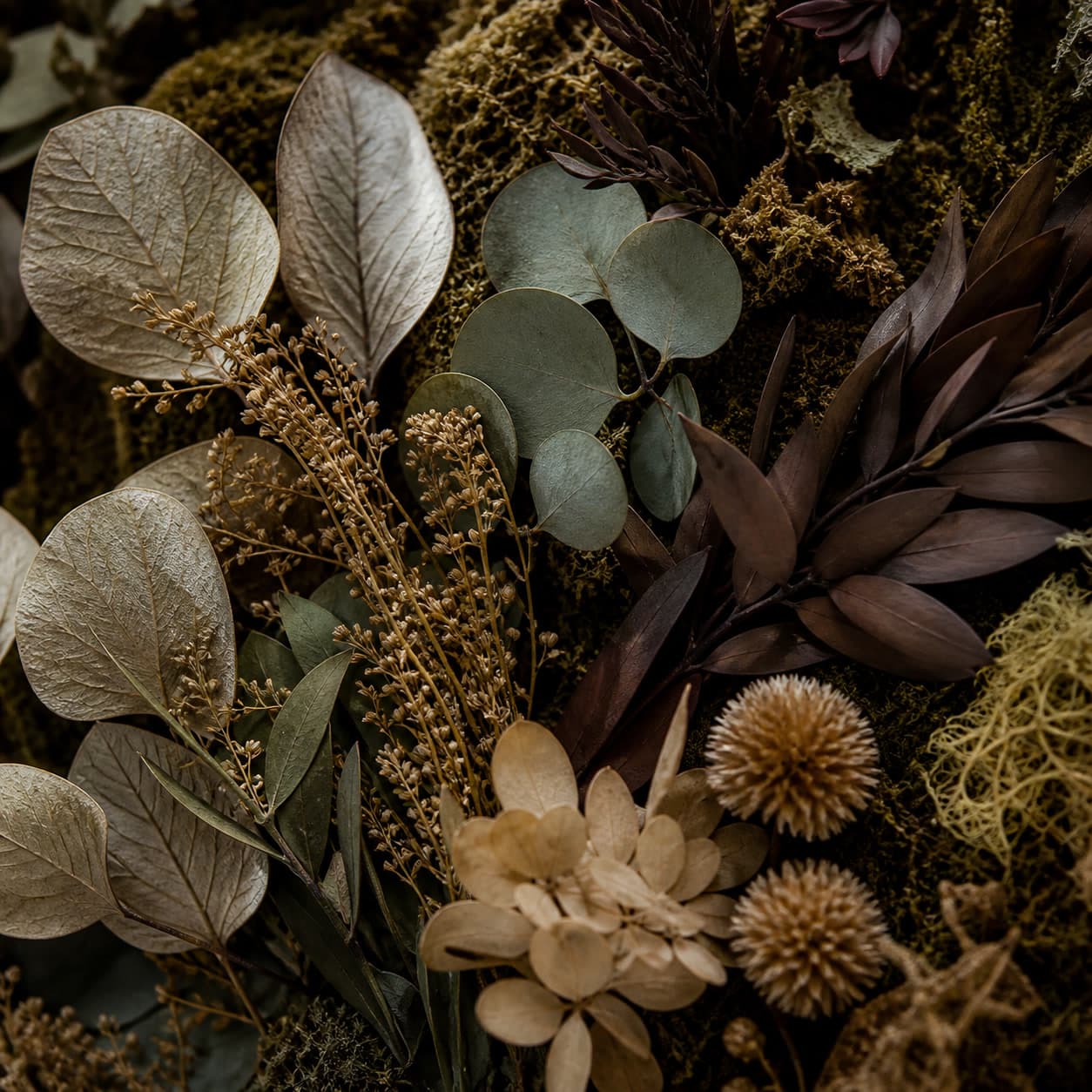 Plante stabilizate folosite în compoziții naturale premium